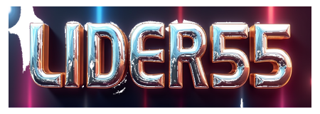 lider55 logo